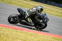 Middle Group Black Bikes